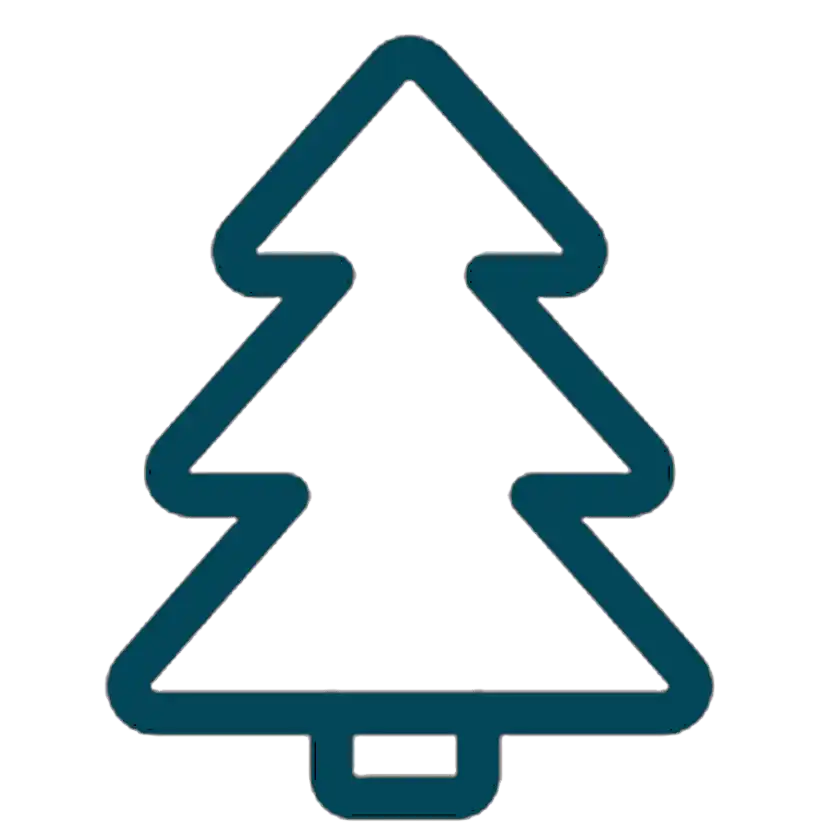 xmasicon xmasicon